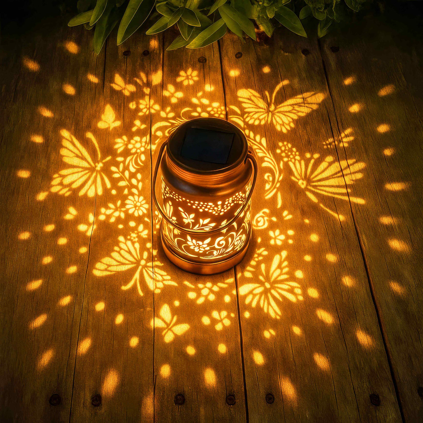 Butterfly Bloom Lantern 2