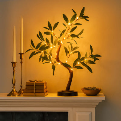 Olive Glow Tree 