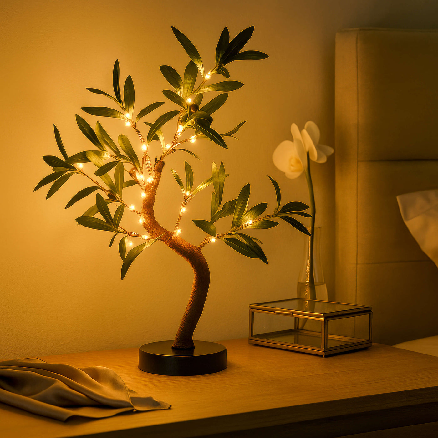 Olive Glow Tree 