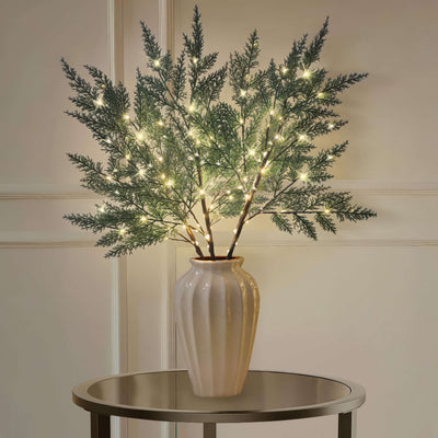 Luminous Cedar Branches 1