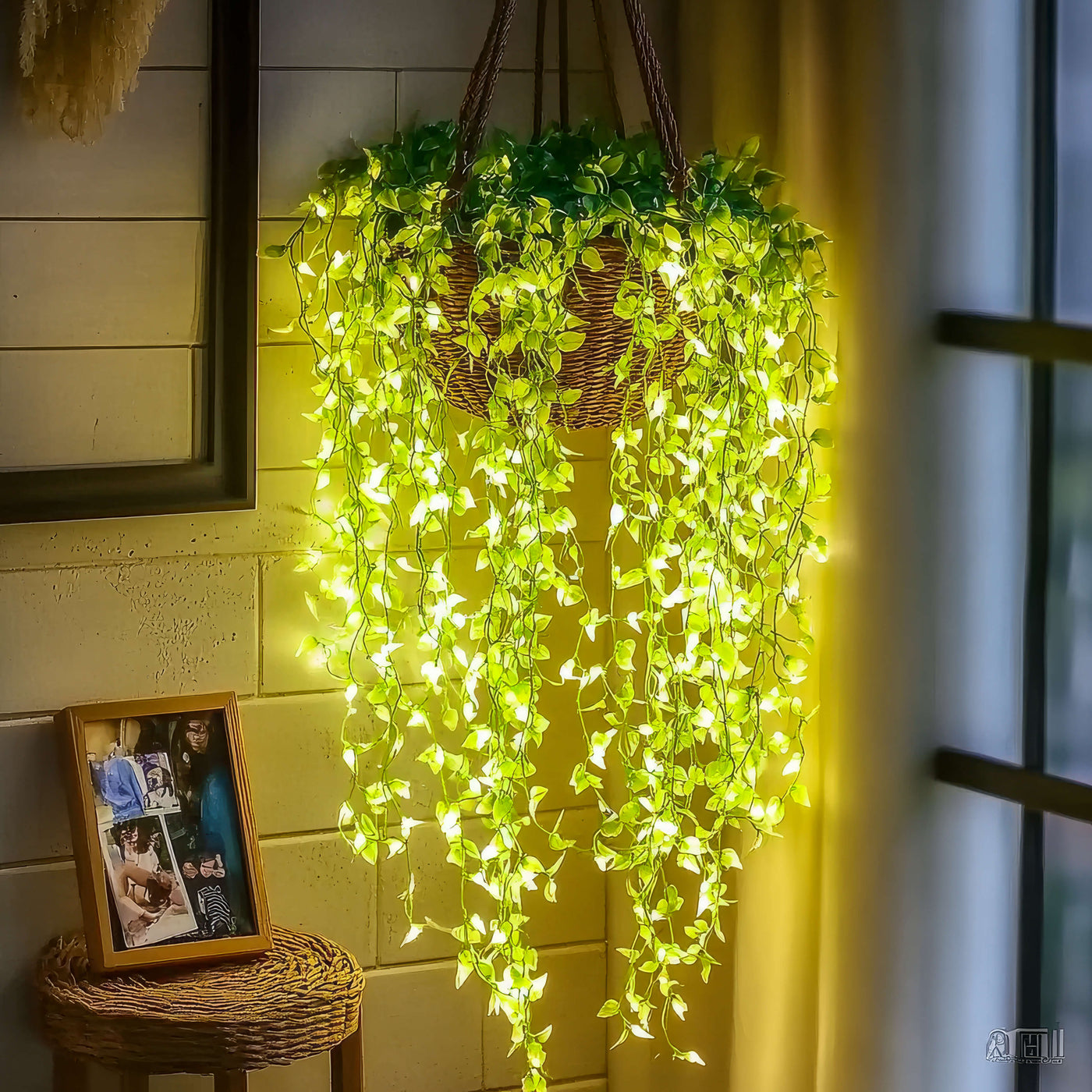 Lush Light Vine 2