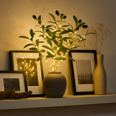 Olive Dream Branch 5