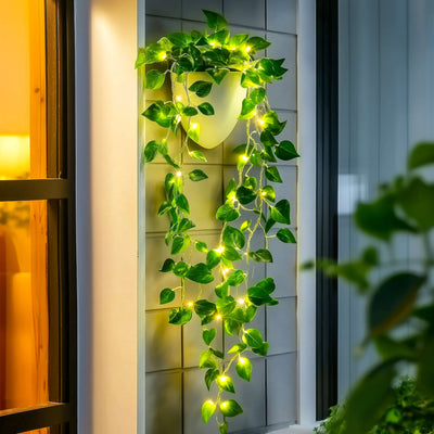Radiant Ivy Lights 1