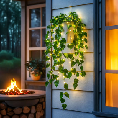 Radiant Ivy Lights 2