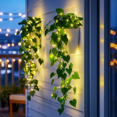 Radiant Ivy Lights 3