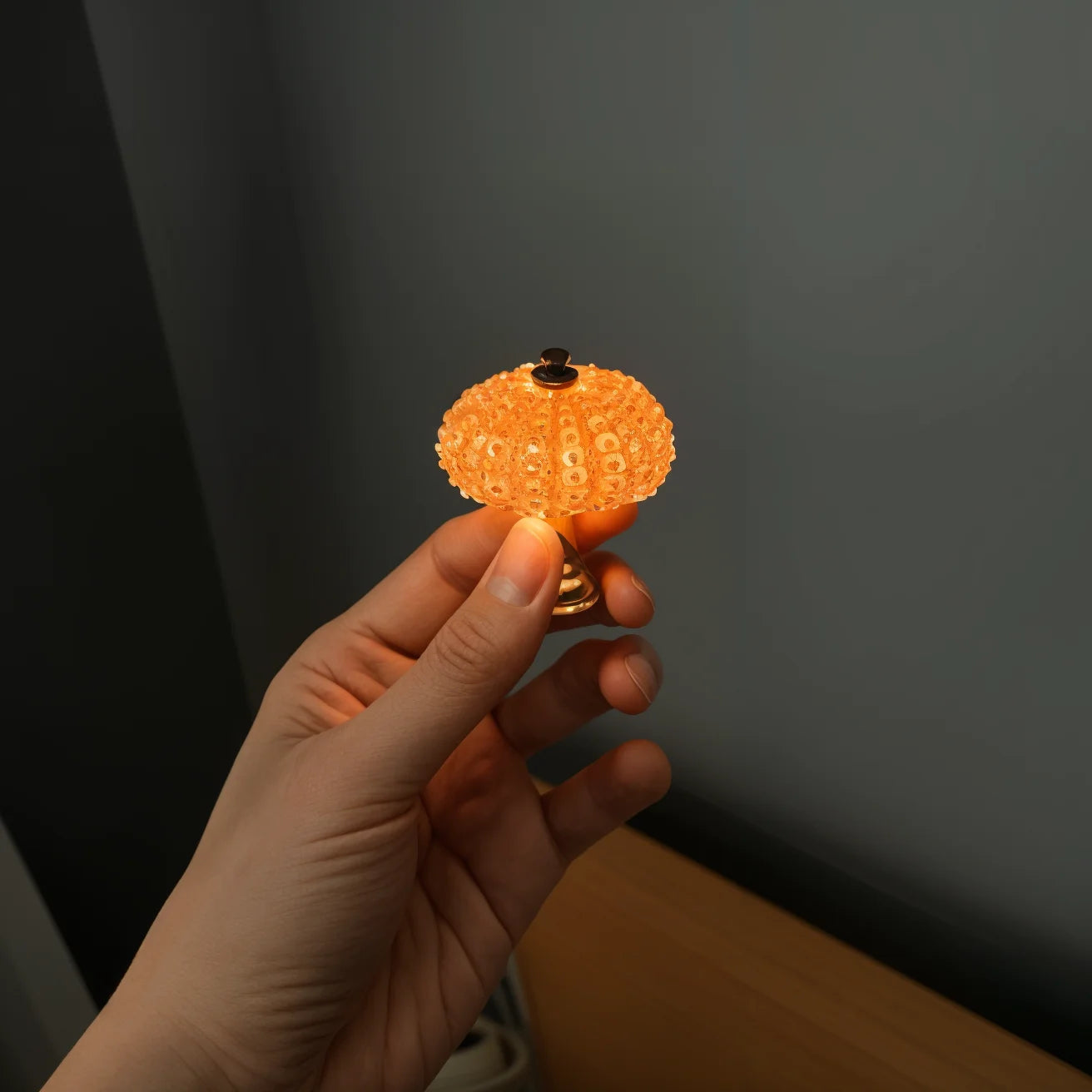 SeaGlow Mini Light 4